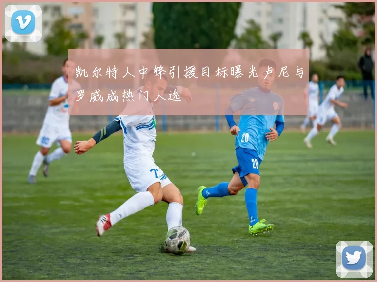 凯尔特人中锋引援目标曝光卢尼与罗威成热门人选